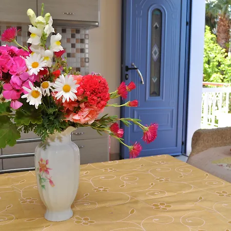 Tzivras & Case de vacanță