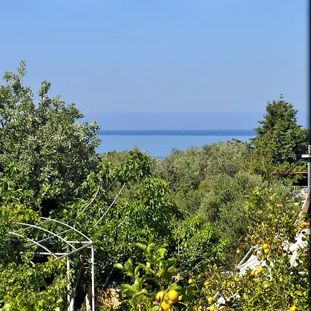 Tzivras & Lassi (Kefalonia)